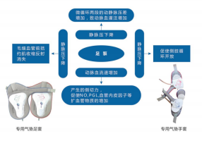 航天生物脈沖式動靜脈氣壓治療儀pzm-1,pzm-2,pzm-3